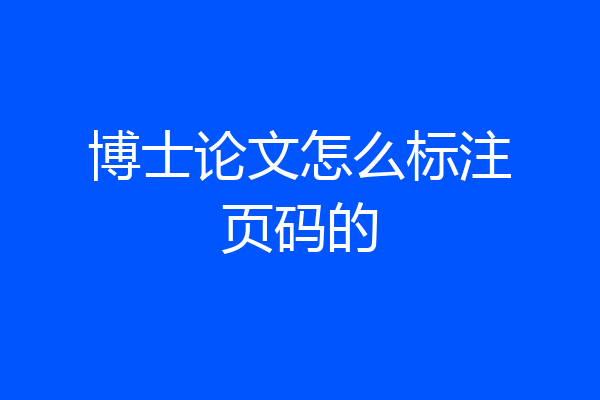 博士论文怎么标注页码的