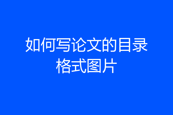 如何写论文的目录格式图片