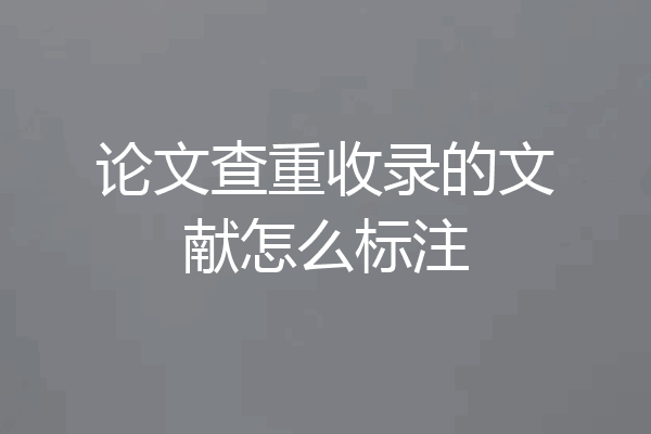 论文查重收录的文献怎么标注