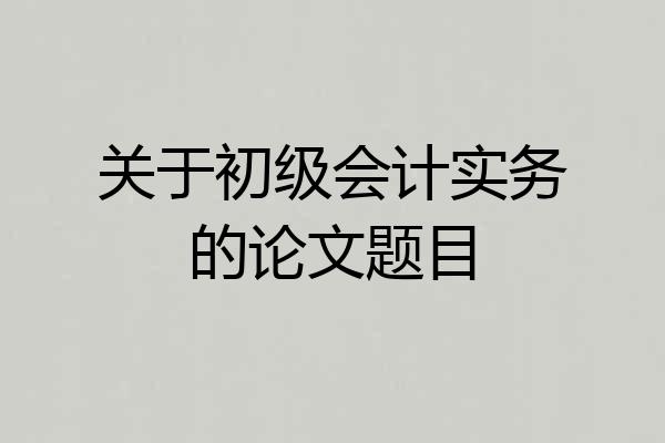 关于初级会计实务的论文题目
