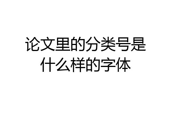 论文里的分类号是什么样的字体