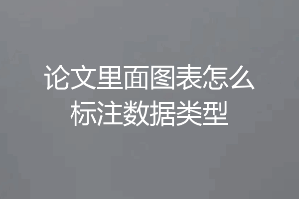 论文里面图表怎么标注数据类型