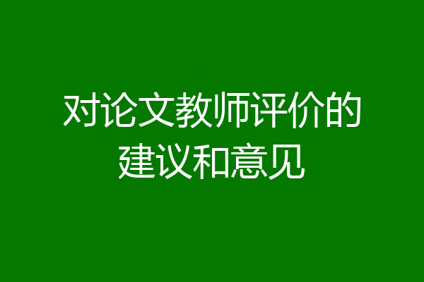 对论文教师评价的建议和意见