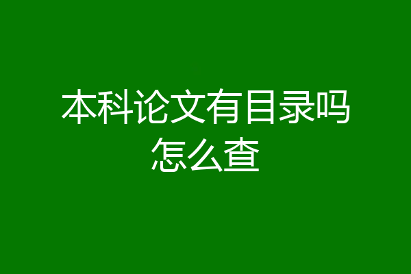 本科论文有目录吗怎么查