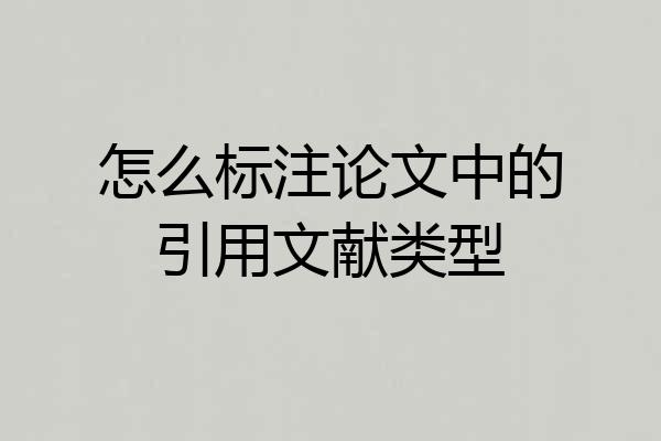 怎么标注论文中的引用文献类型