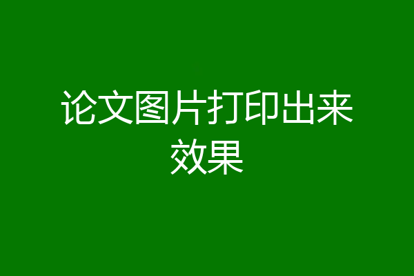 论文图片打印出来效果