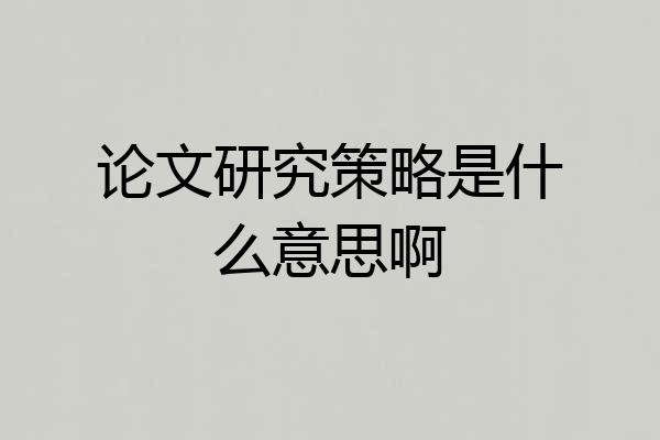 论文研究策略是什么意思啊