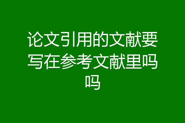 论文引用的文献要写在参考文献里吗吗