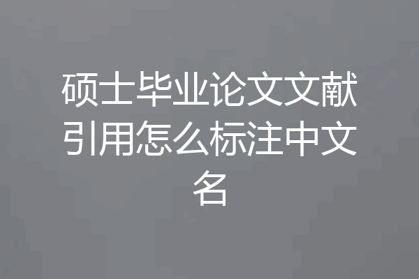 硕士毕业论文文献引用怎么标注中文名