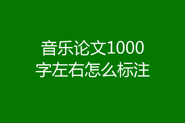 音乐论文1000字左右怎么标注