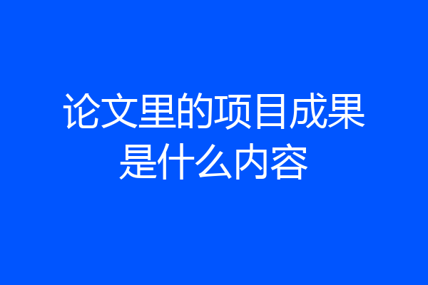 论文里的项目成果是什么内容