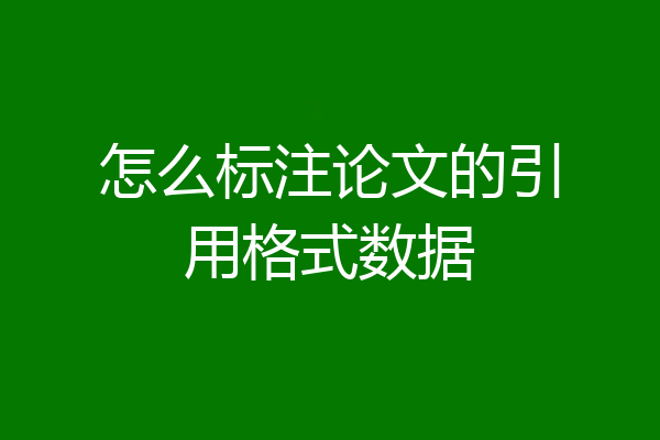 怎么标注论文的引用格式数据
