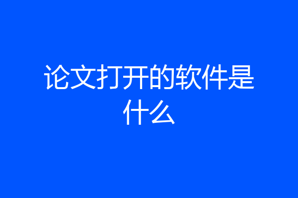 论文打开的软件是什么