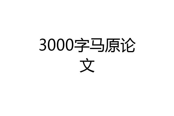3000字马原论文
