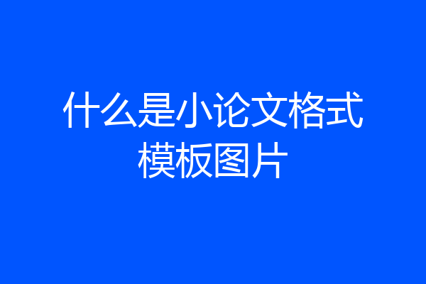 什么是小论文格式模板图片