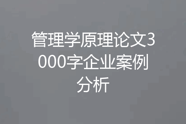 管理学原理论文3000字企业案例分析