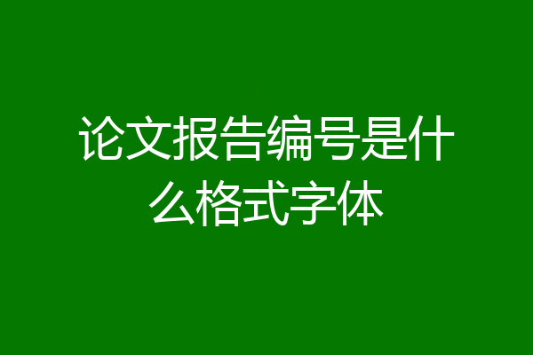 论文报告编号是什么格式字体