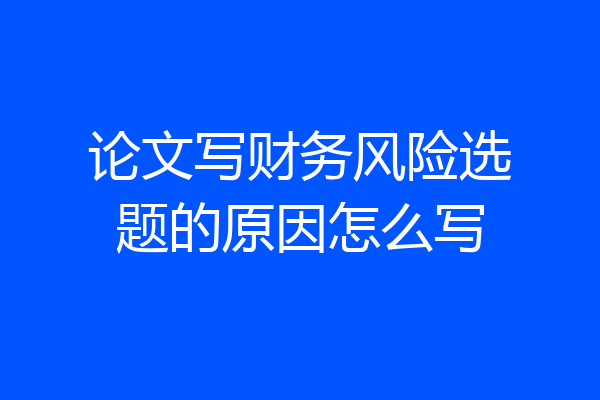 论文写财务风险选题的原因怎么写