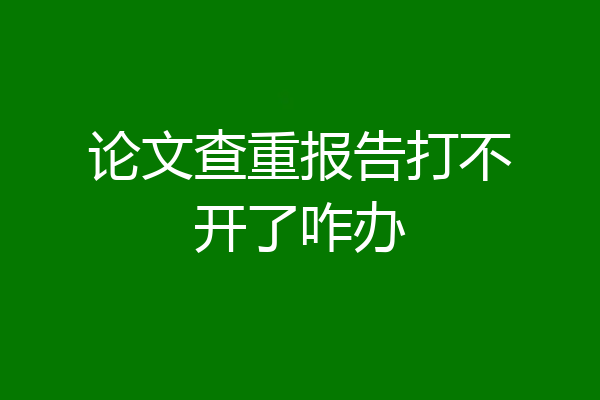 论文查重报告打不开了咋办
