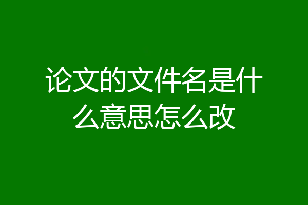 论文的文件名是什么意思怎么改