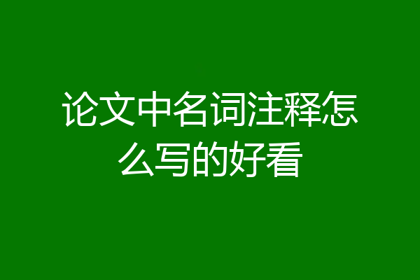 论文中名词注释怎么写的好看