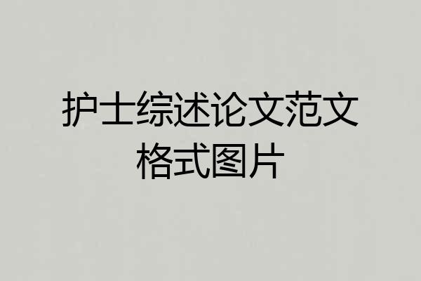 护士综述论文范文格式图片