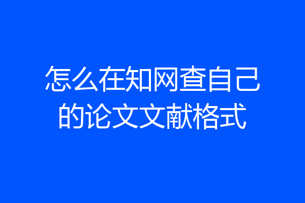怎么在知网查自己的论文文献格式