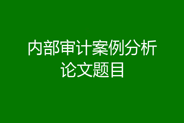 内部审计案例分析论文题目