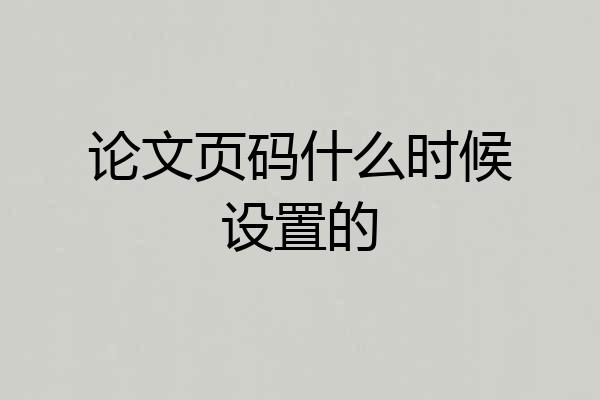 论文页码什么时候设置的