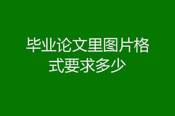毕业论文里图片格式要求多少