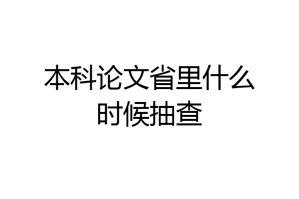 本科论文省里什么时候抽查