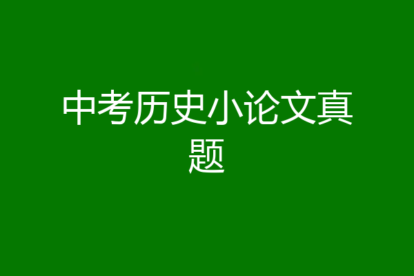 中考历史小论文真题