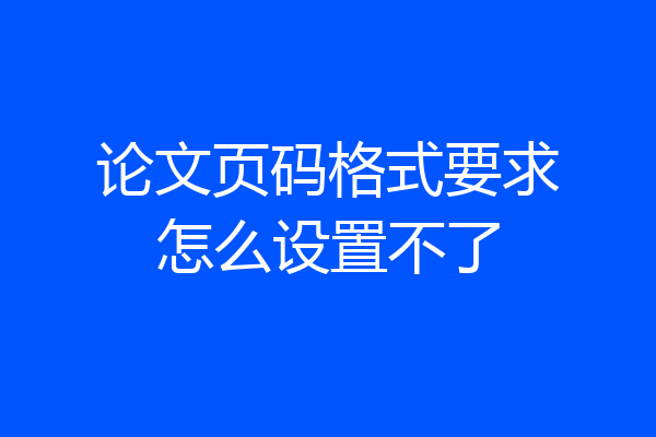 论文页码格式要求怎么设置不了