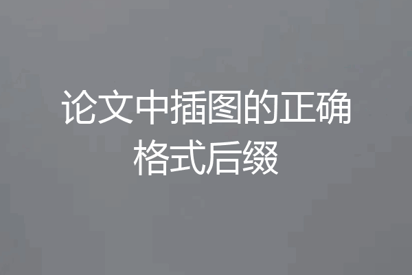 论文中插图的正确格式后缀