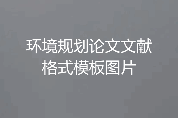 环境规划论文文献格式模板图片