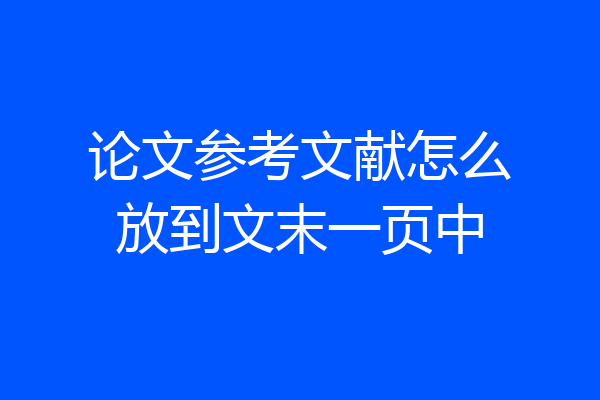 论文参考文献怎么放到文末一页中
