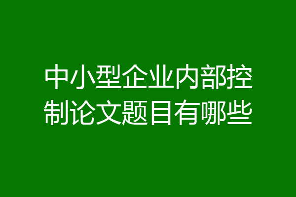 中小型企业内部控制论文题目有哪些