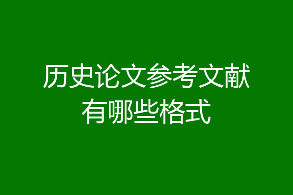 历史论文参考文献有哪些格式