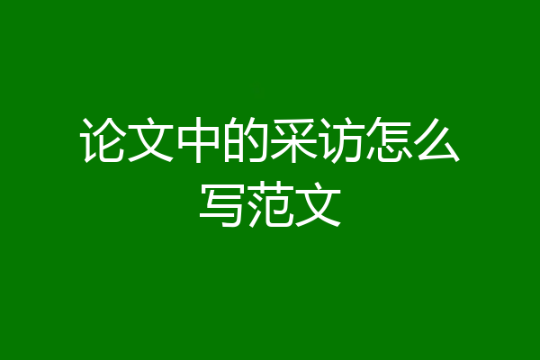 论文中的采访怎么写范文