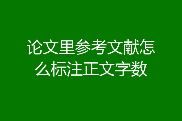 论文里参考文献怎么标注正文字数