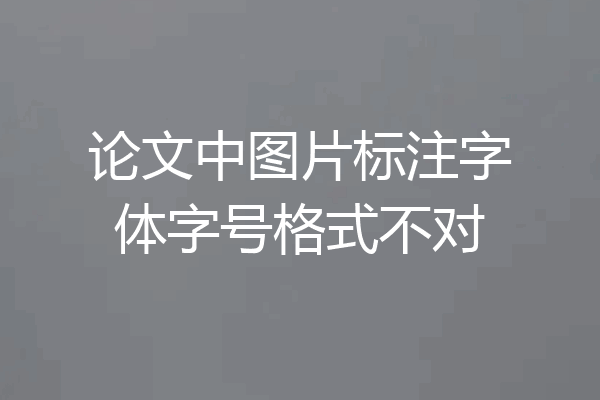 论文中图片标注字体字号格式不对