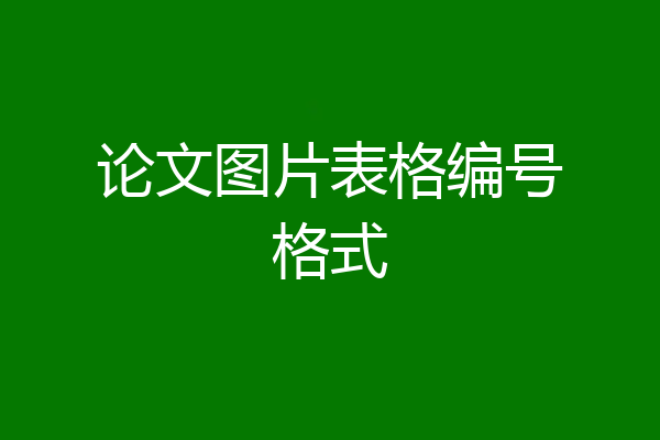 论文图片表格编号格式