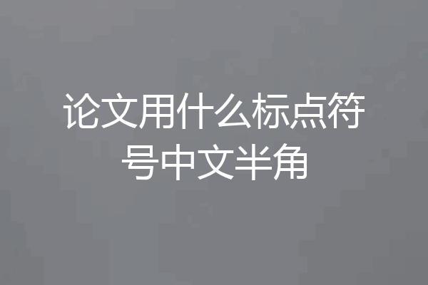 论文用什么标点符号中文半角