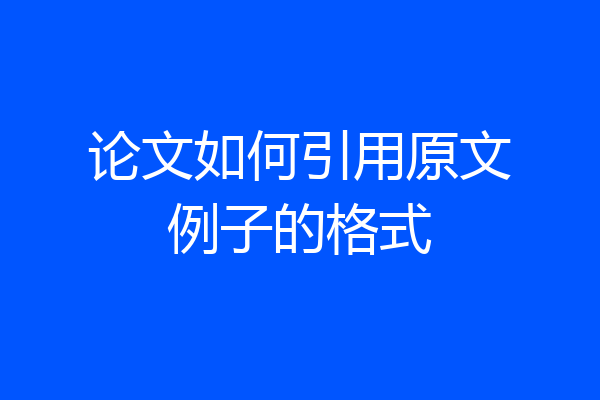 论文如何引用原文例子的格式