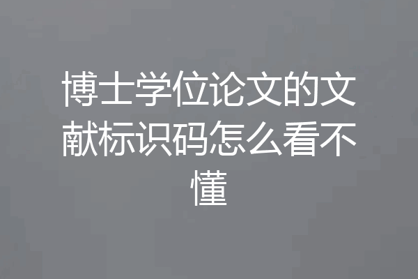 博士学位论文的文献标识码怎么看不懂