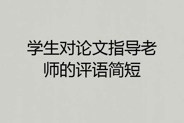 学生对论文指导老师的评语简短