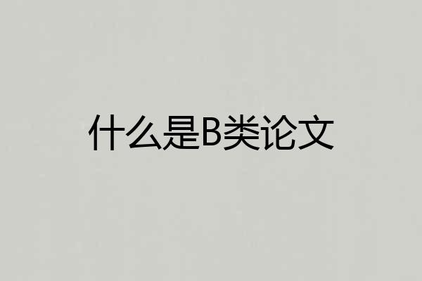 什么是B类论文