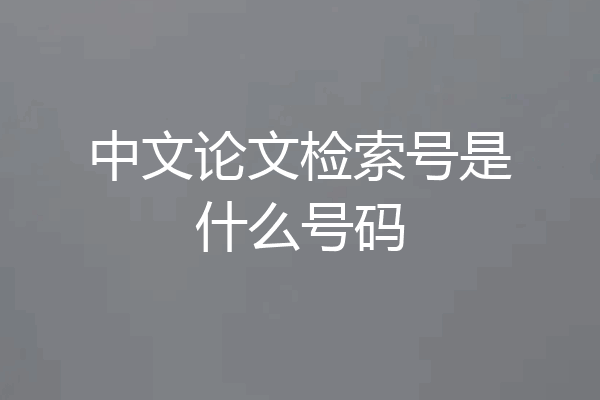 中文论文检索号是什么号码