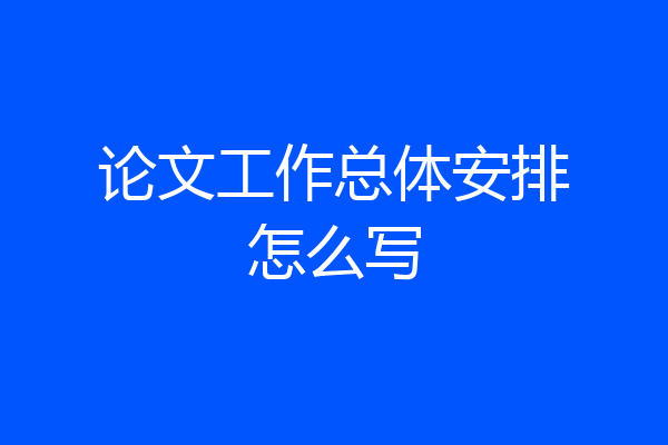 论文工作总体安排怎么写
