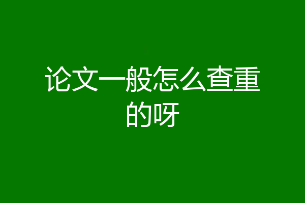 论文一般怎么查重的呀